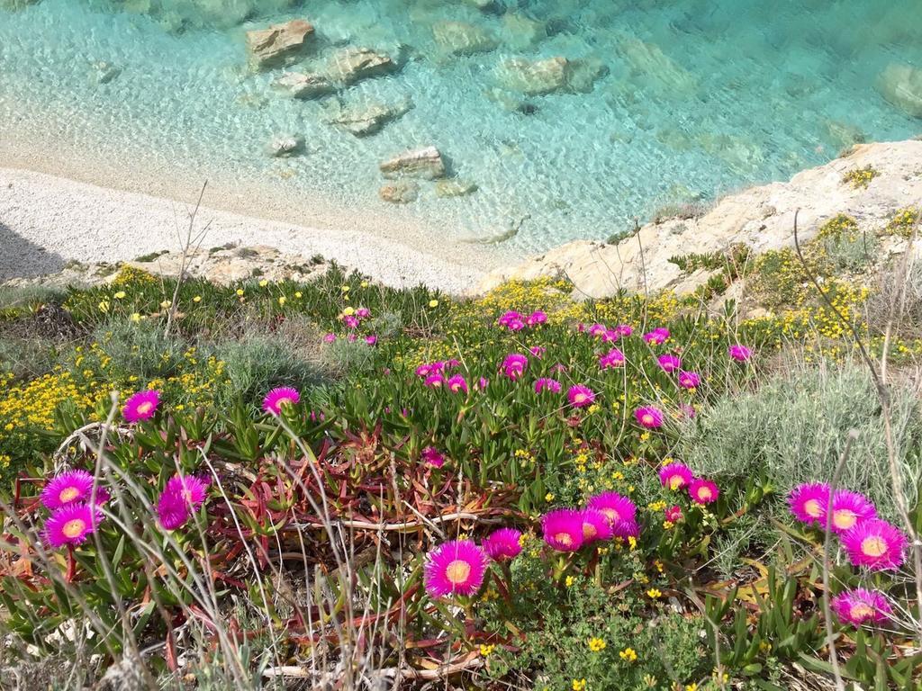 מלון ריו מרינה Experience Relais " Il Termine Elba " מראה חיצוני תמונה