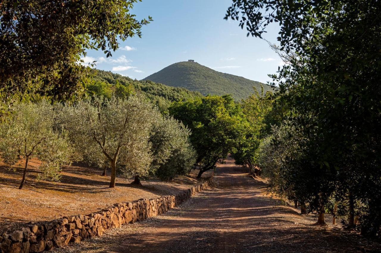 מלון ריו מרינה Experience Relais " Il Termine Elba " מראה חיצוני תמונה